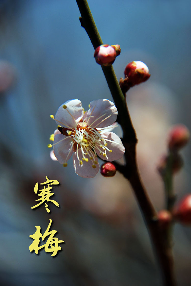 澳门十大娱乐平台入口网址